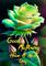 JAvED-arawap_net